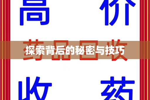 湛江探索背后的秘密与技巧