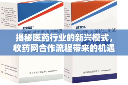 湛江揭秘医药行业的新兴模式，收药网合作流程带来的机遇与挑战