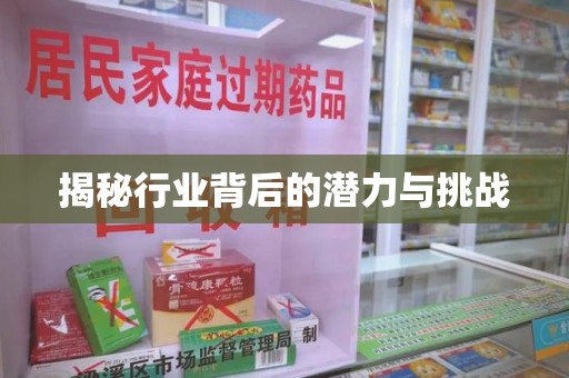 湛江揭秘行业背后的潜力与挑战