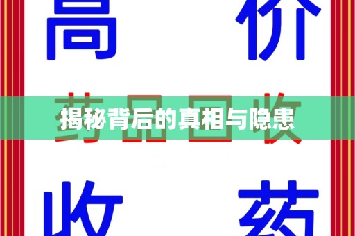 湛江揭秘背后的真相与隐患