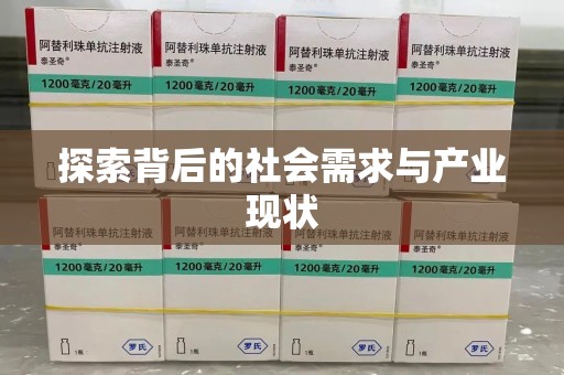 湛江探索背后的社会需求与产业现状