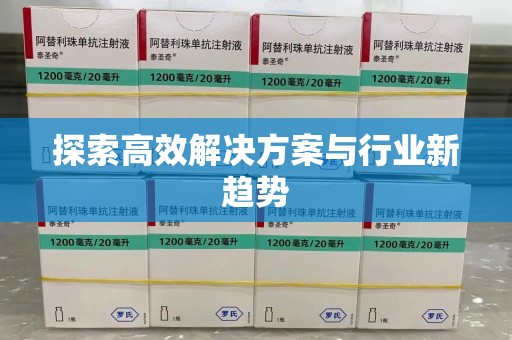 湛江探索高效解决方案与行业新趋势