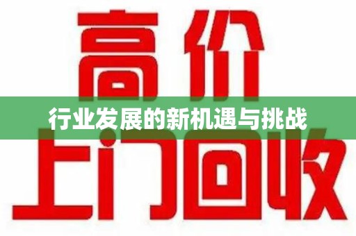 湛江行业发展的新机遇与挑战