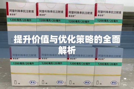 湛江提升价值与优化策略的全面解析