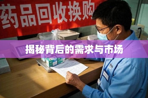 湛江揭秘背后的需求与市场