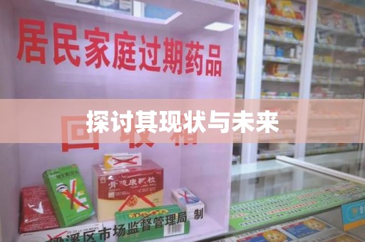 湛江探讨其现状与未来