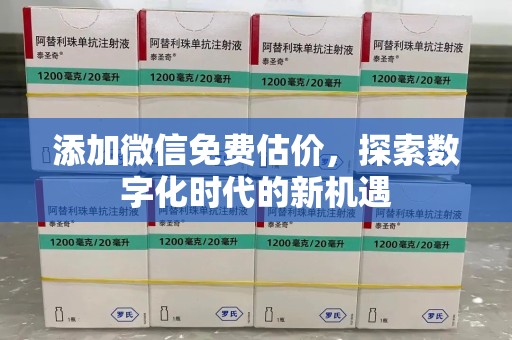 湛江添加微信免费估价，探索数字化时代的新机遇