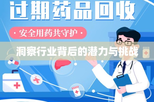 湛江洞察行业背后的潜力与挑战