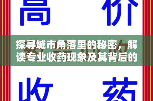 湛江探寻城市角落里的秘密，解读专业收药现象及其背后的故事