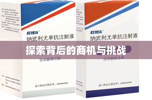 湛江探索背后的商机与挑战