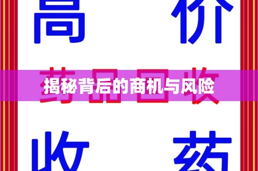湛江揭秘背后的商机与风险